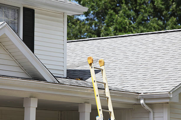 Best Historical Building Siding Restoration  in Scottdale, GA